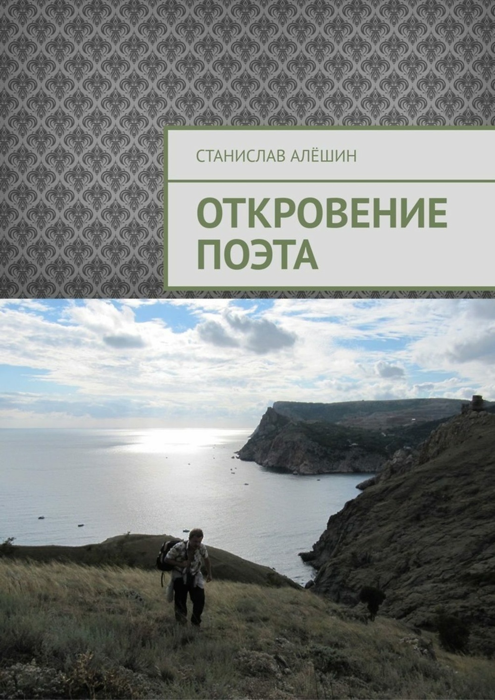 Книга откровений. Алешин Станислав Владимирович. Станислав Владимирович Алёшин образование. Андрей Алёшин Откровение. Алёшин книга создание сайтов.