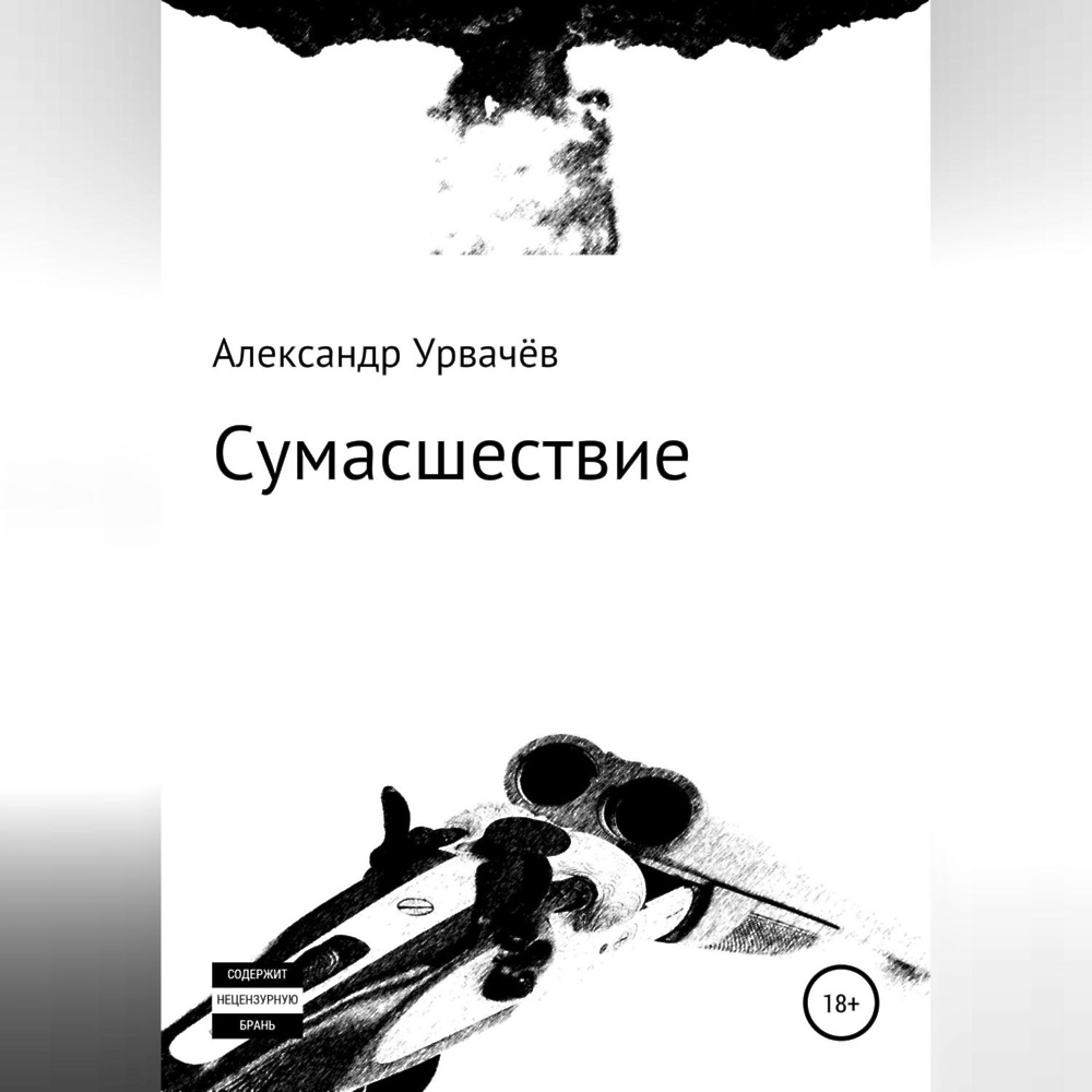 Литература и сумасшествие. История моего безумия книга.